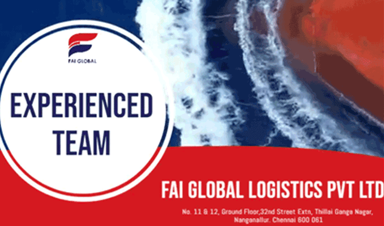 Experienced Team